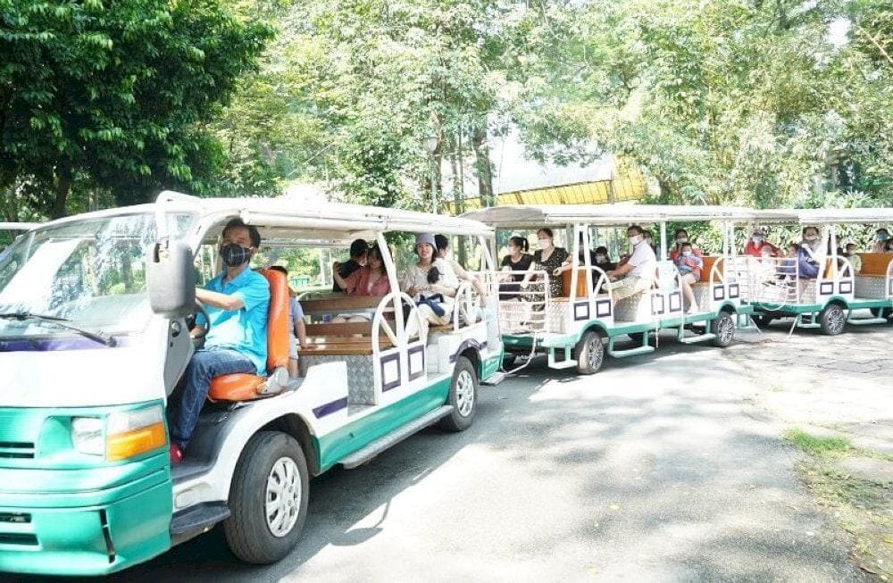 It&rsquo;s a perfect way to take in the sights without the strain, especially on warmer days